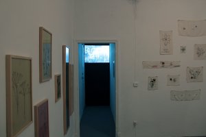 2- Exhibition view